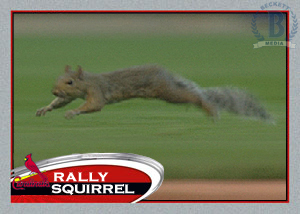 Cardinals Include Rally Squirrel on Championship Ring